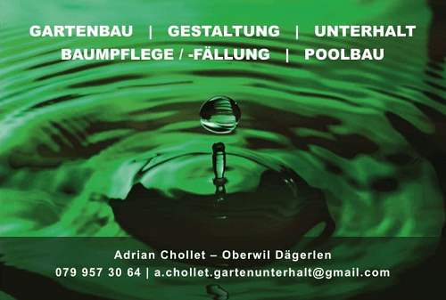 Gartenunterhalt, Baumfällungen und Poolbau in 8471 Seuzach